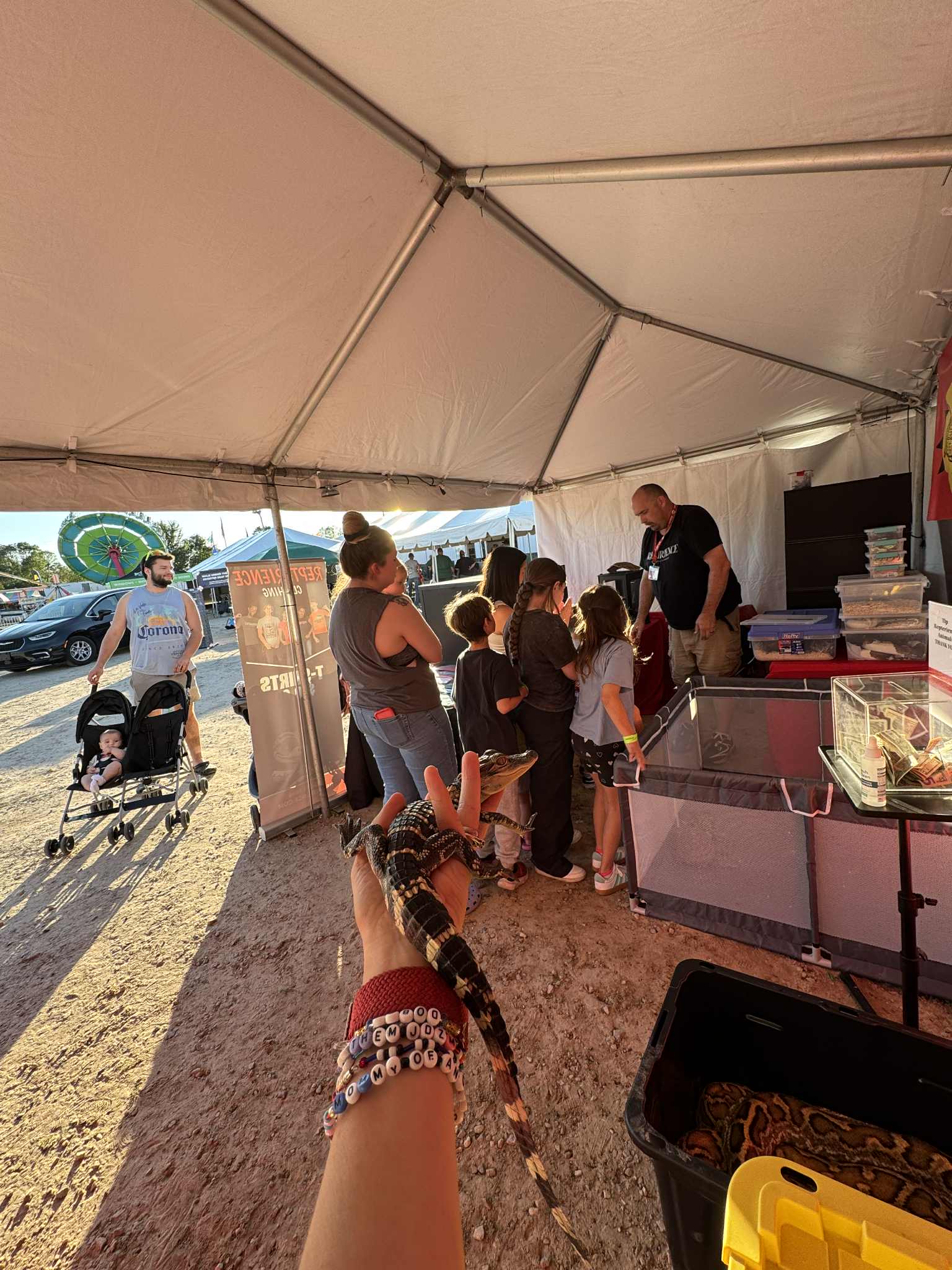 Repterience Adventure