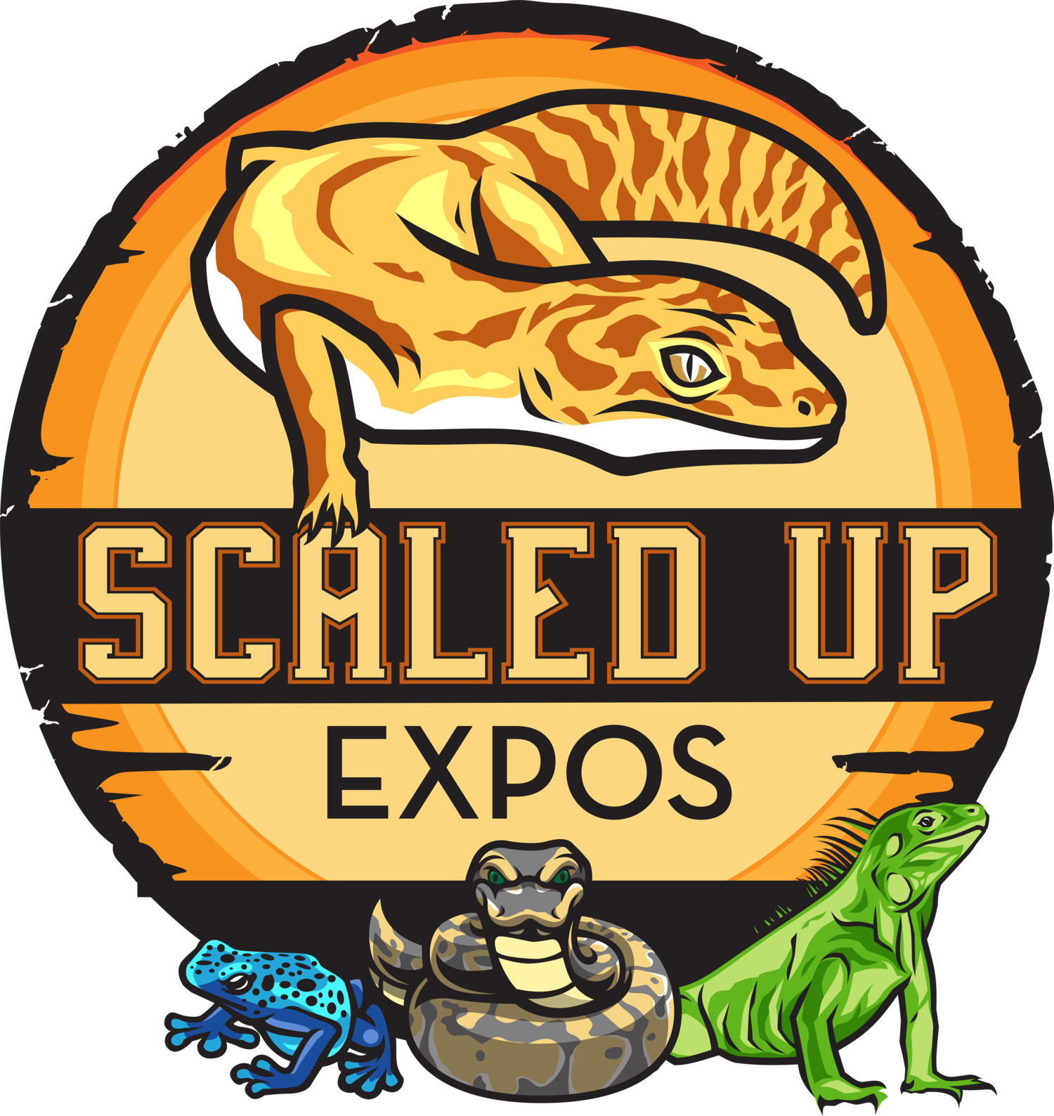 Scaled Up Expos 